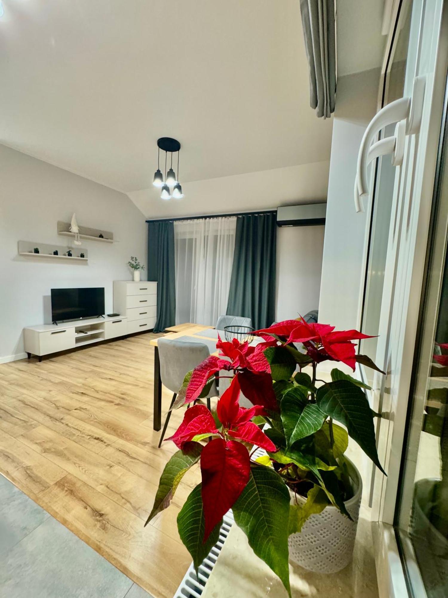Apartament Olenka Busko-Zdrój Exterior foto