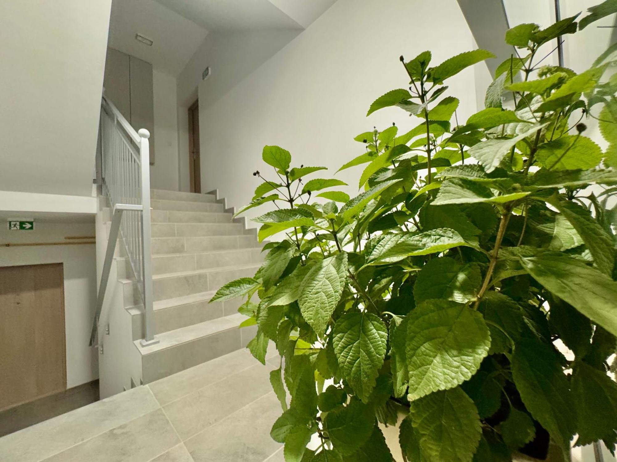 Apartament Olenka Busko-Zdrój Exterior foto